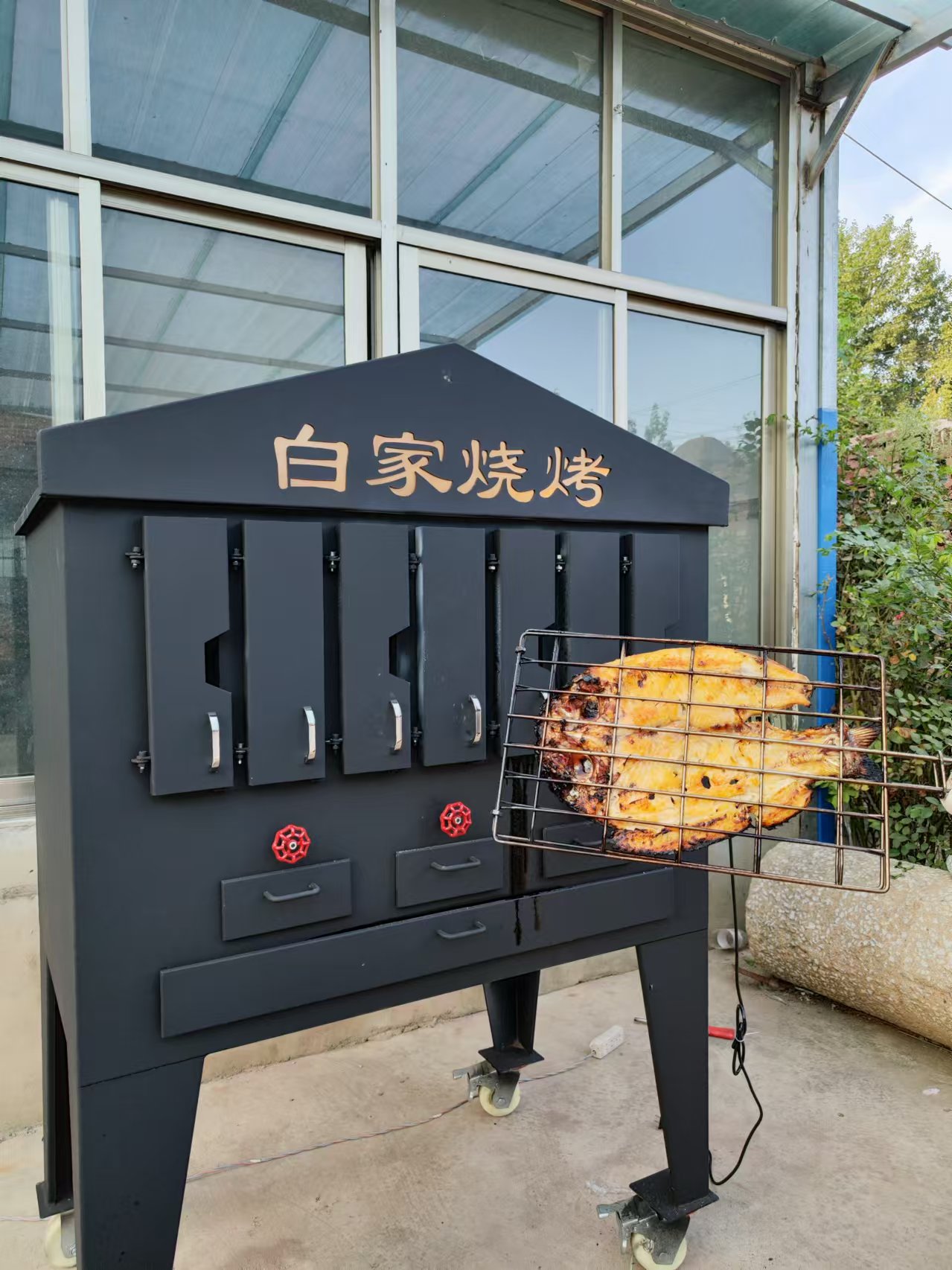 Grilled Fish Oven